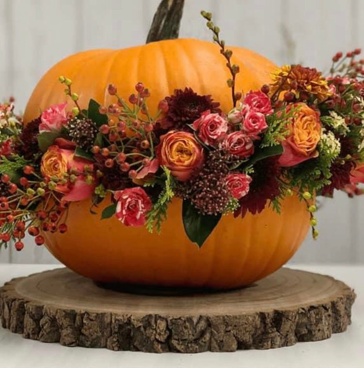 Floral Pumpkin Workshop (Wilmslow) - Sunday 27th October 2024 12-2pm