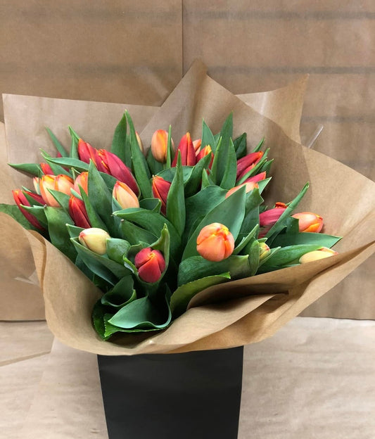 Tango Tulips