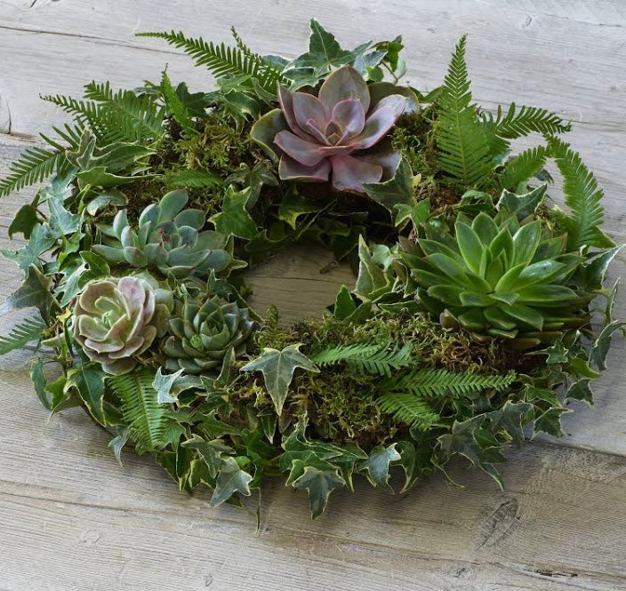 Living Succulent Wreath